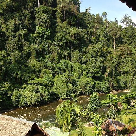 Riverside Guesthouse Bukit Lawang Kültér fotó