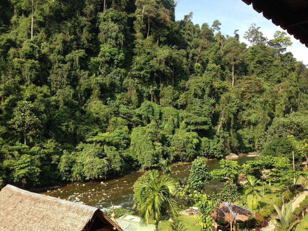 Riverside Guesthouse Bukit Lawang Kültér fotó